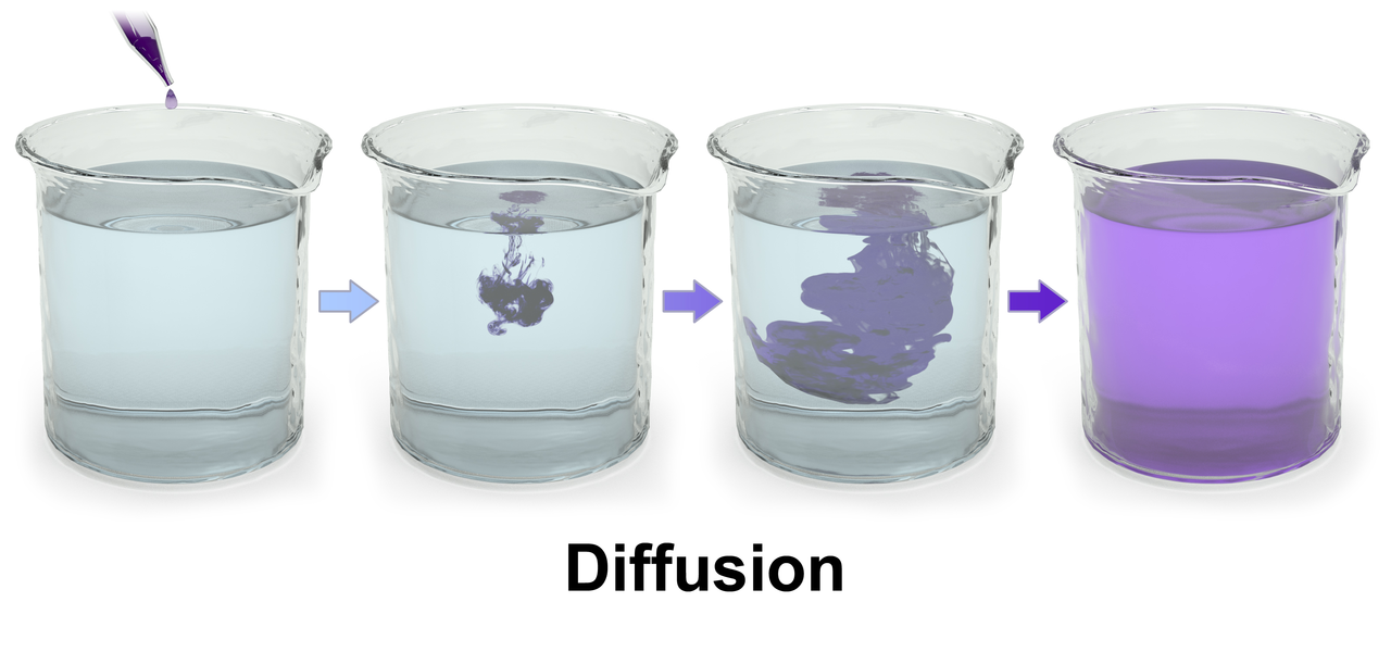 1280px-Blausen_0315_Diffusion.png