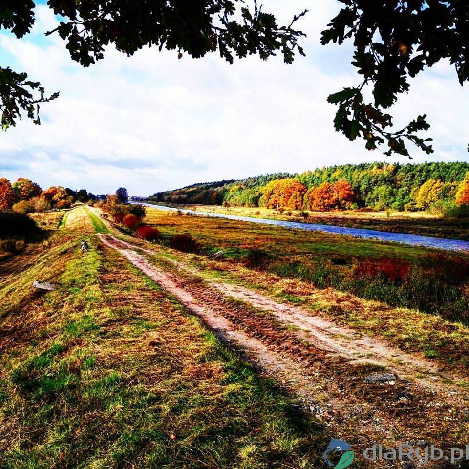 Rzeka Noteć jesienią