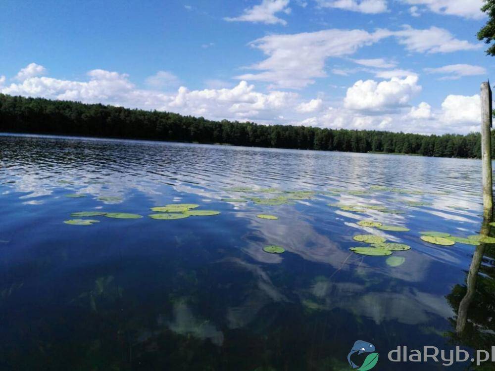 Jezioro Czarne w lipcu